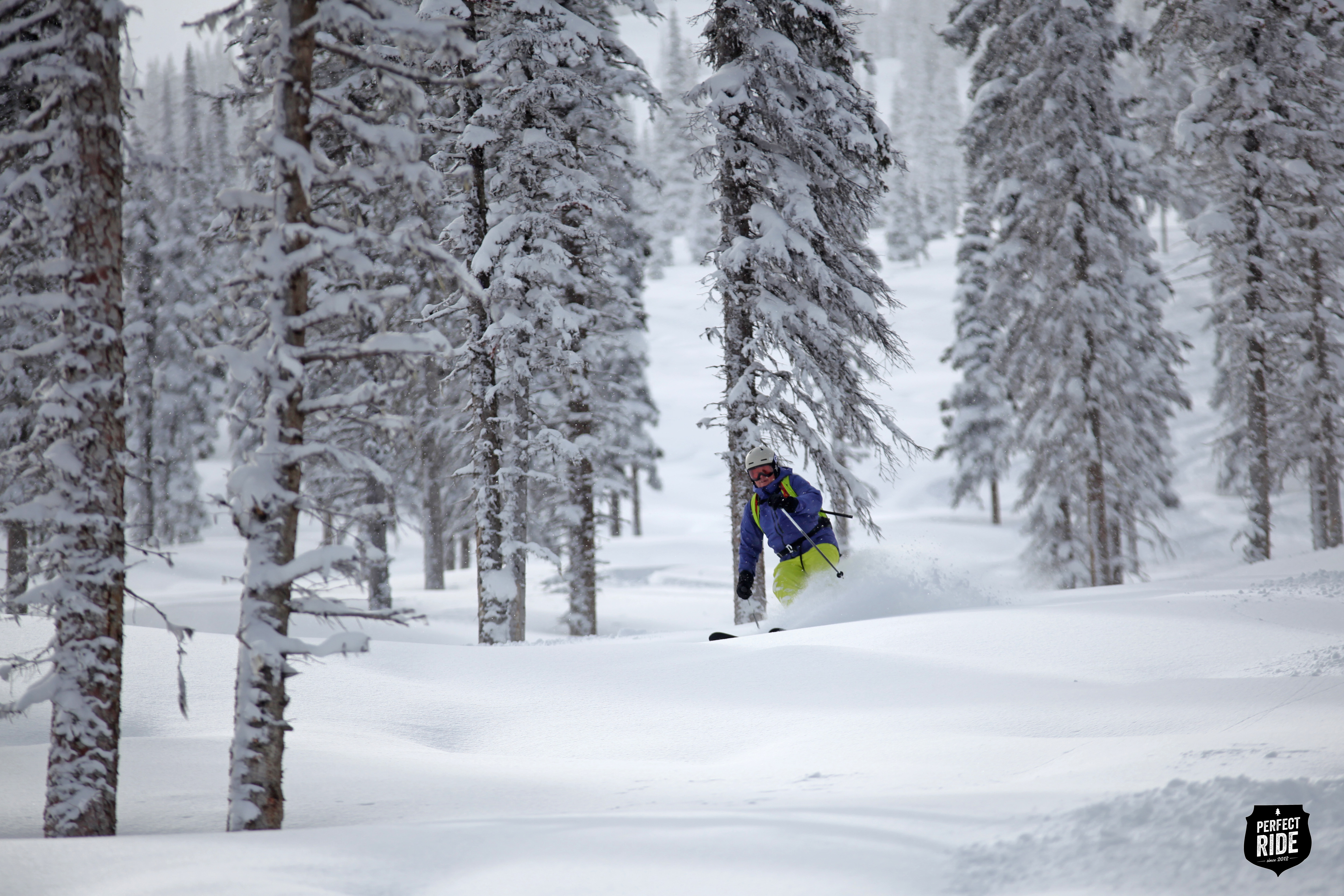 Europe-trip-powder-day