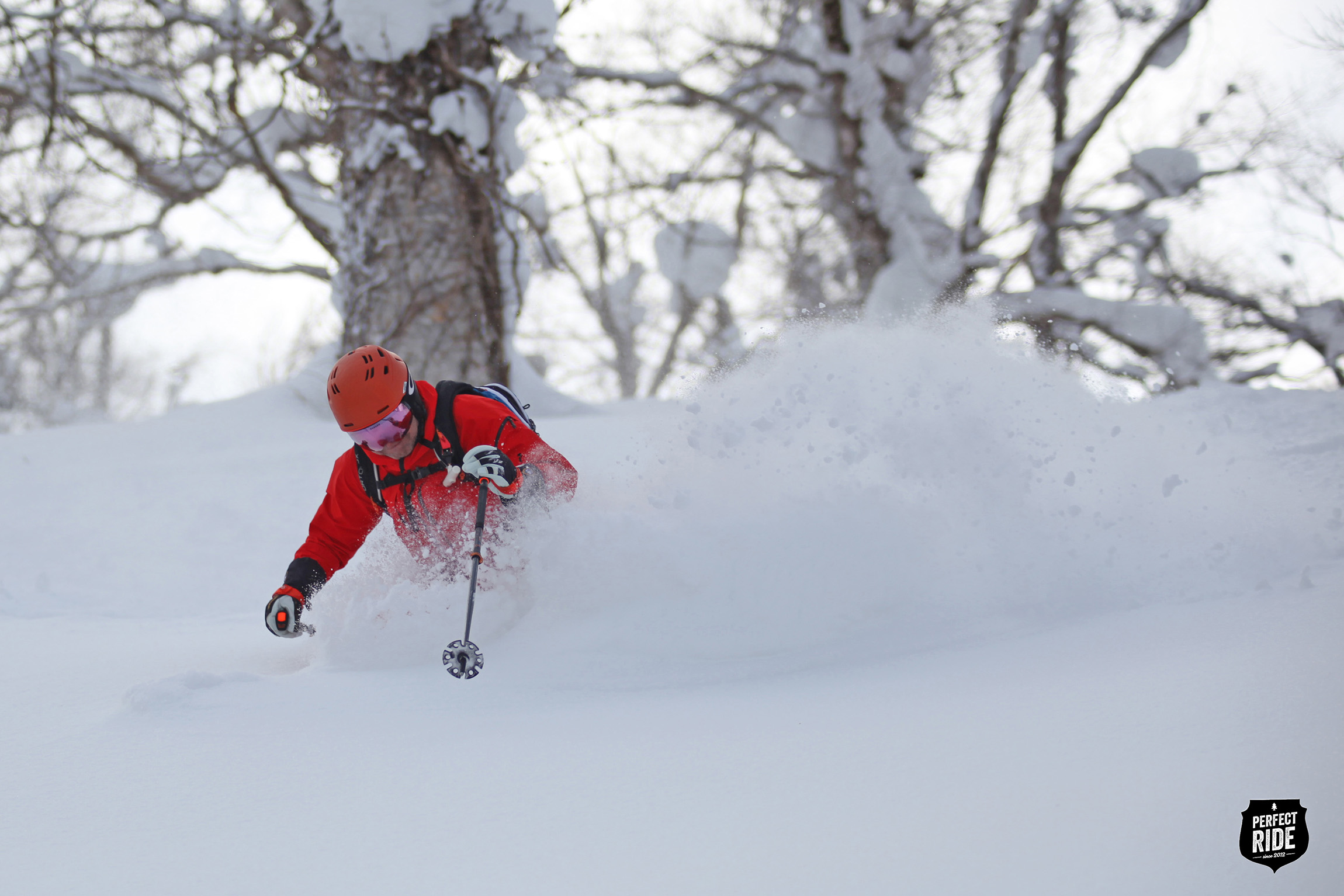 Skier enjoying fresh powder snow in the Julian Alps, Slovenia
